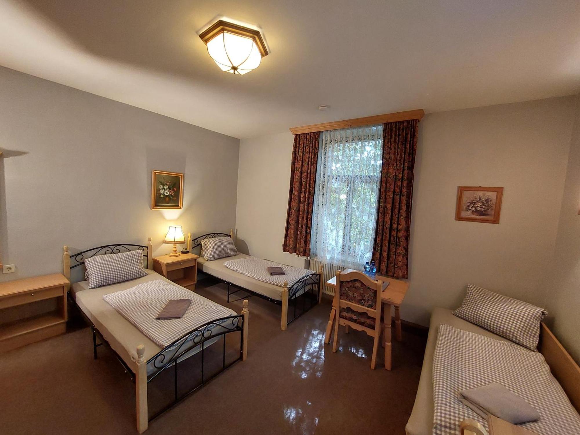 3 Raben - Leoben - Zimmer Fuer Geschaeftsreisende, Urlauber, Monteure Und Handwerker, Polski Pensjonat Austria Εξωτερικό φωτογραφία